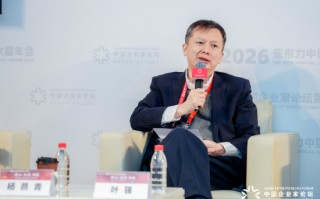 厦门叶强：现在大模型不见得需要全域，垂域技术会不断出现