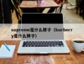 厦门supreme是什么牌子（burberry是什么牌子）
