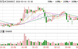 厦门深天马A：2025年公司核心业务板块呈现强劲发展态势，各领域协同发力推动盈利水平显著提升