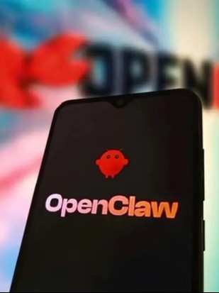 厦门“月花上千，钱包被掏空”，第一批“养虾人”开始疯狂卸载，“拆虾”服务已爆单 | BUG