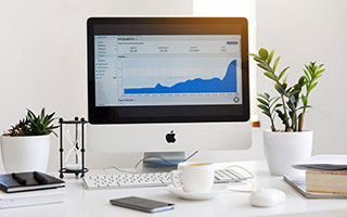 厦门Alphabet因Gemini聊天机器人被起诉